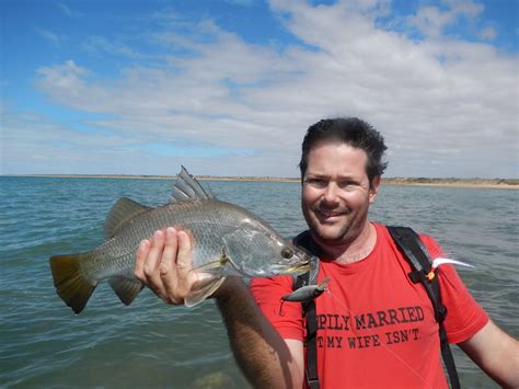 There's also plenty to see on the land while wandering up the beach of the gulf, including: exmouth barra | Fishing - Fishwrecked.com - Fishing WA ...