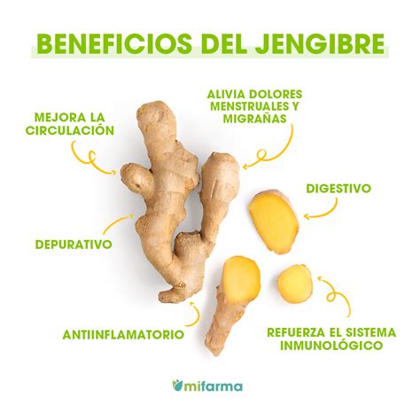 Beneficios Del Jengibre Para La Salud Mifarma