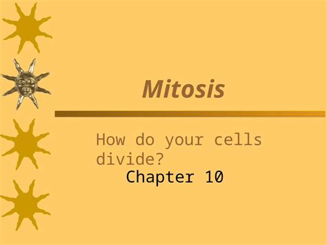 PPT Mitosis How Do Your Cells Divide Chapter Why Do Cells Divide Surface Area Damaged