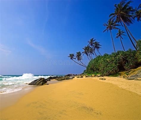 Sri Lanka Stock Image Image Of Ocean Beautiful Landscape 59685087