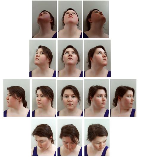 Head Rotations Drawing Reference Face Angles Figure Drawing