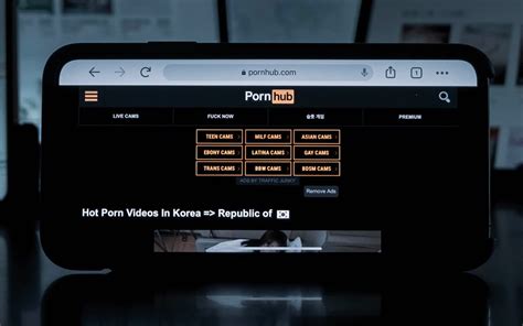 2024 pornhub xvideos youporn check the credit card here is the government s idea to