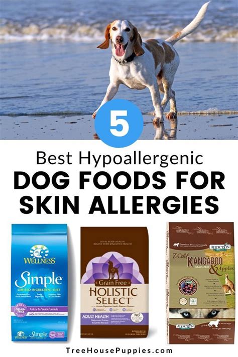 Hypoallergenic Best Dog Food For Allergies
