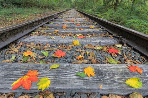 Railroad Track With Fall Foliage Stock Photo Image Of Leaves Season