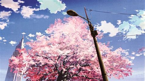 10 Most Popular Cherry Blossom Tree Anime Wallpaper Full