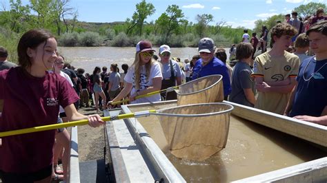 Coloradoriver Endangered Fish Recovery Sees Some Success Enough Water