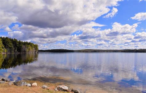 Massabesic Lake Auburn Nh Photograph By Theresa Nye