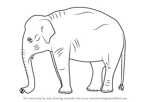 How to draw an elephant for kids. Learn How to Draw an Indian Elephant (Wild Animals) Step ...