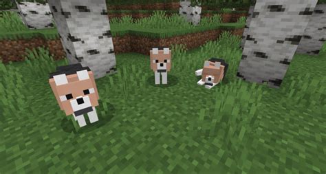 Each skin has some items with unique 3d models. Wolves+ addon » Minecraft PE