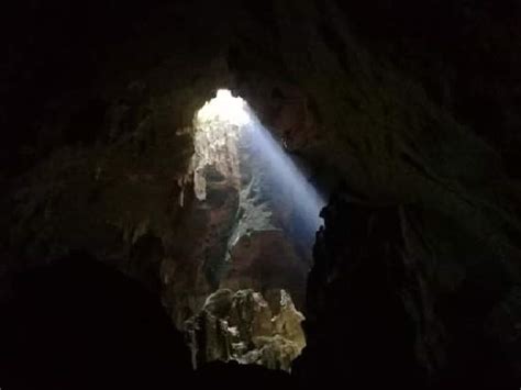 Attractions At Niah National Park Niah Cave Gua Niah Miri