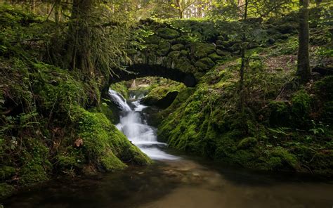 Wallpaper Waterfall Nature River Wilderness Jungle Stream