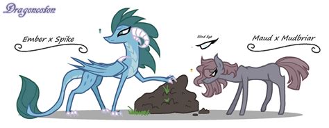 Mlp Customs For Crystalsstar By Dragoncoton On Deviantart