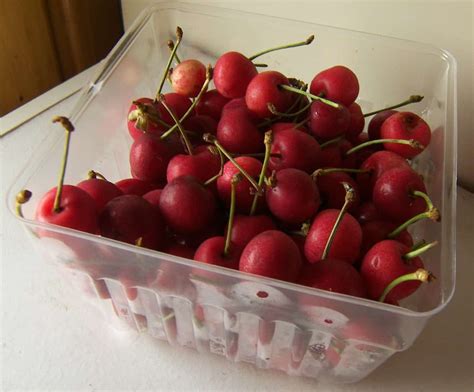 First Michigan Sweet Cherries Of The Year The Cavalier Cherry