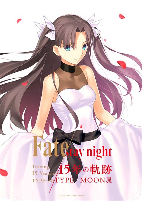 Celebration 15 Years Fate Stay Night Type Moon Rin Art By Takashi