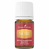 Photos of Young Living Tea Tree Oil