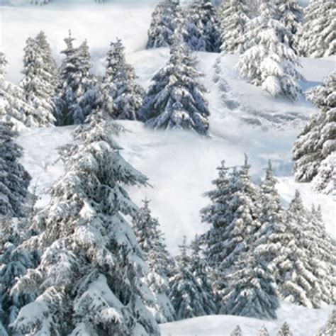 Cotton Fabric Nature Fabric Landscape Medley Snow Covered Trees
