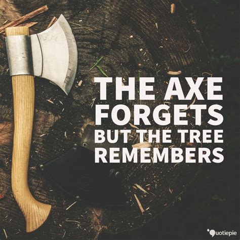 The axe forgets, but the tree remembers. | Tree quotes, Picture quotes ...