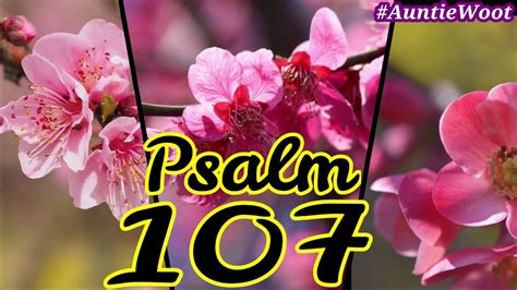 3 and he shall be like a tree planted by the rivers of water, that bringeth forth his fruit in his season; Psalm 107 King James Version KJV KJB Audiobook with ...