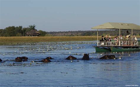 Chobe River Boat Safari Botswana Specialists