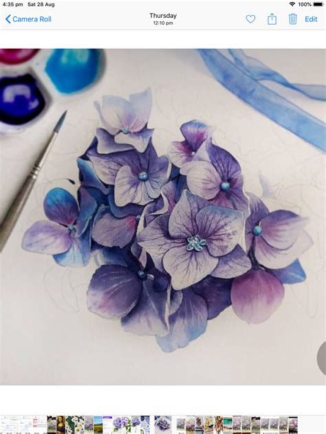 Hydrangeas Art Hydrangea Painting Hydrangea Flower Watercolor
