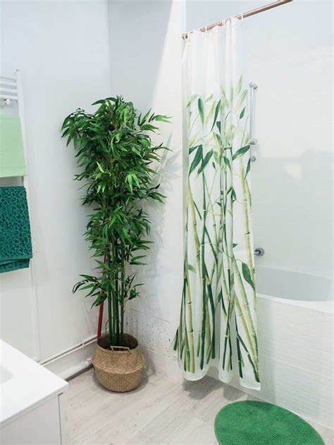 Noticing The Trend Of Plants Not Only In The Bathroom But In The