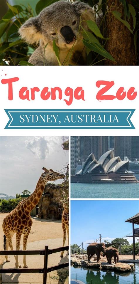 Taronga Zoo In Sydney Australia Travel Destinations Australia Visit