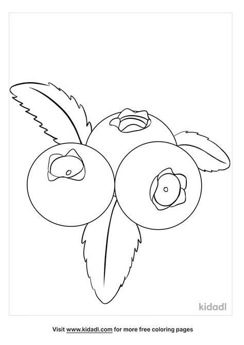 80+ Free Printable blueberries coloring pages - AriannaElvin