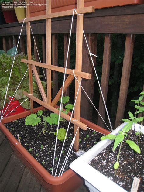 @configuration @propertysource(classpath:property.properties) public class devconfig { @bean public static propertysourcesplaceholderconfigurer configurer() {. Vegetable Gardening: Pole Bean and Cucumber Support Ideas ...