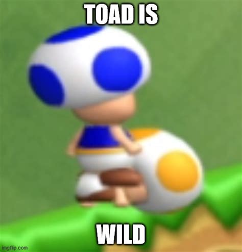 Image Tagged In Toadmarionintendofunfunnysex Imgflip