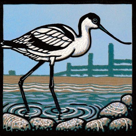 Shop — Jill Kerr Linocuts Linocut Bird Art Linocut Art