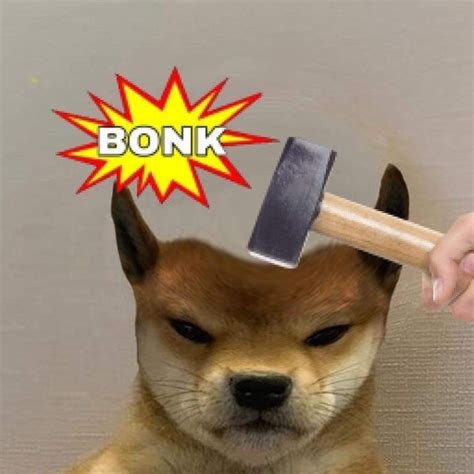 Pin De Ivan David En Dog Xhido Mascotas Memes Memes De Animales