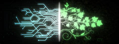 A Return to Nature Through Technology – Digital Zen