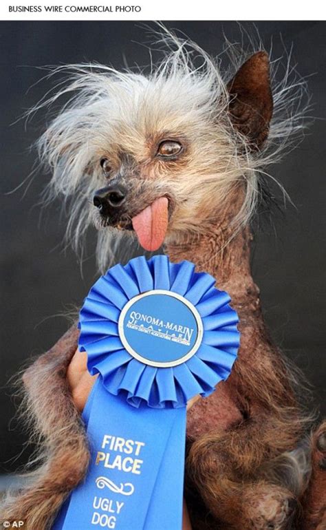 Best Of Pics Of The Ugliest Animals In The World