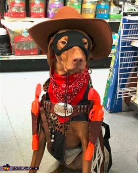 Cowboy Dog Costume Mind Blowing Diy Costumes