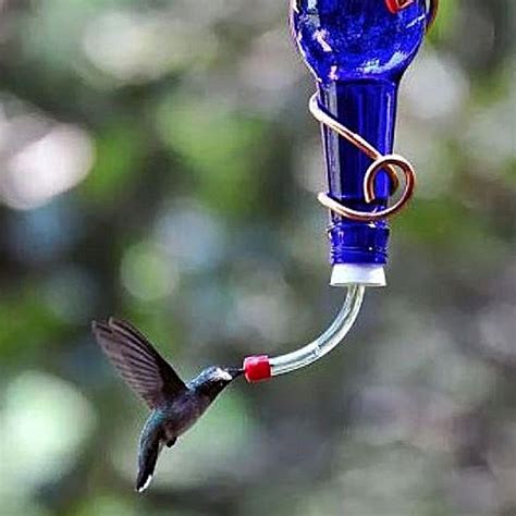 Building a bird box can be a fun family project. Make a Wine Bottle Hummingbird Feeder - Container Water ...