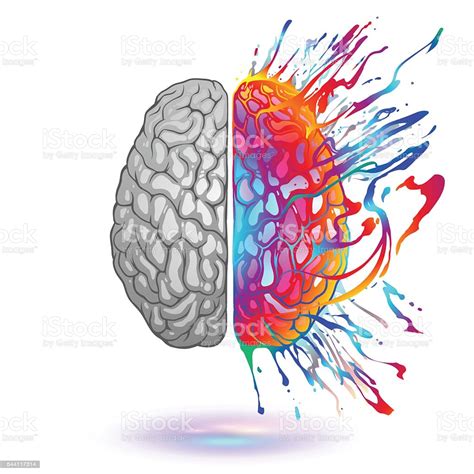 Human Brain With Creative Splash Stock Vector Art & More Images of ...