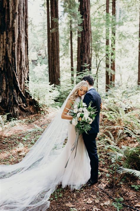 We did not find results for: Modern Elegant Redwood Forest Wedding at The Island Farm ...