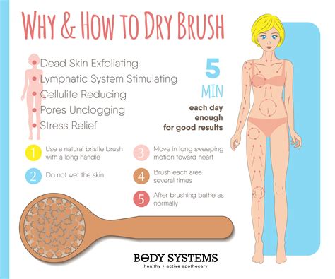 DRY BRUSHING FOR HEALTH Body Systems