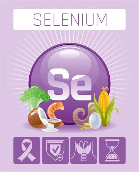 Premium Vector Selenium Se Mineral Vitamin Supplement Icons Food And