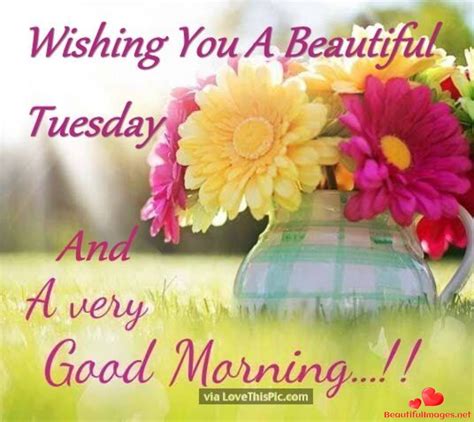 Good Morning Greetings For Tuesday Wisdom Good Morning Quotes