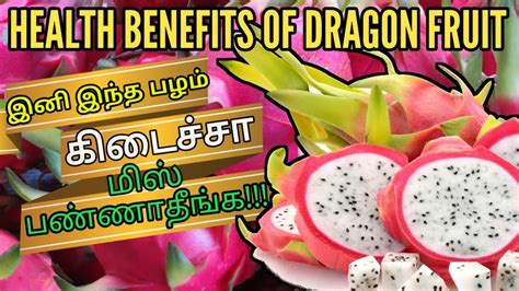 Chambakka (jambu), a small red color fruit, species in the myrtaceae, scientific name is syzygium samarangense. Dragon Fruit Benefits in Tamil | Dragon Fruit Health Tips ...