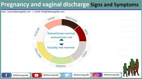 Pregnancy And Vaginal Discharge Symptoms Causes And More Lab Tests Guide