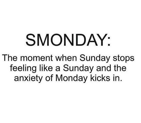 Sunday Brunch Funny Monday Memes Monday Humor Monday Memes