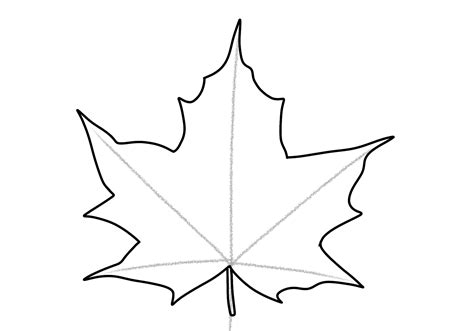 How To Draw A Maple Leaf Design School