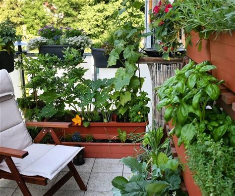 Urban Balcony Garden Ideas That Feel Like In Nature