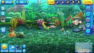  The Magic Fish Of Spawning Fish Tycoon 2 Youtube