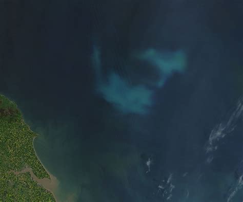 Phytoplankton Bloom In The North Sea Unexplained Mysteries Image Gallery