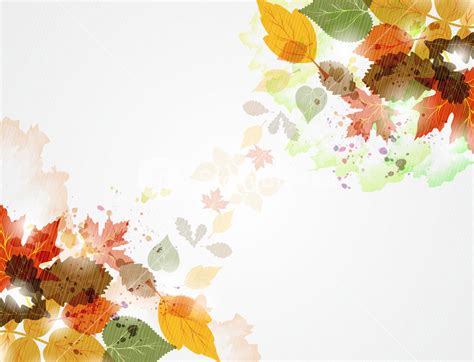 Vector Autumn Floral Background Royalty Free Stock Image