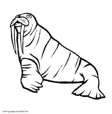 But it's important to know what those animals are and where to find resources. Arctic Ocean animals coloring pages || COLORING-PAGES ...