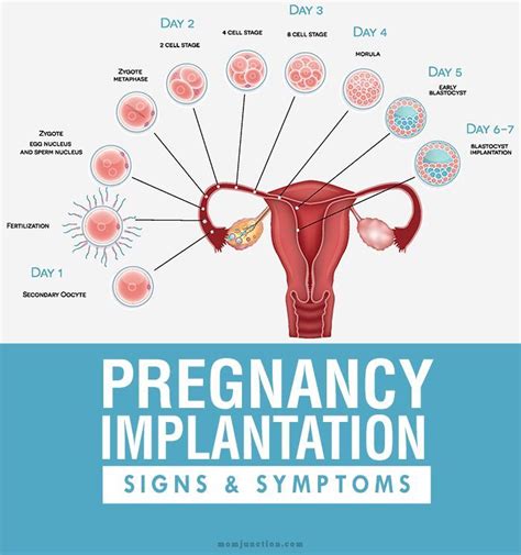 Pregnancy Symptoms Bleeding 8 Weeks Pregnancy Sympthom